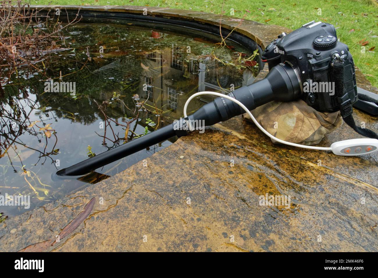 Makroobjektiv mit integrierter LED-Beleuchtung, montiert auf einer DSLR-Kamera und taucht unter Wasser, um das Leben im Garten zu fotografieren, Wiltshire, Großbritannien, Januar. Stockfoto
