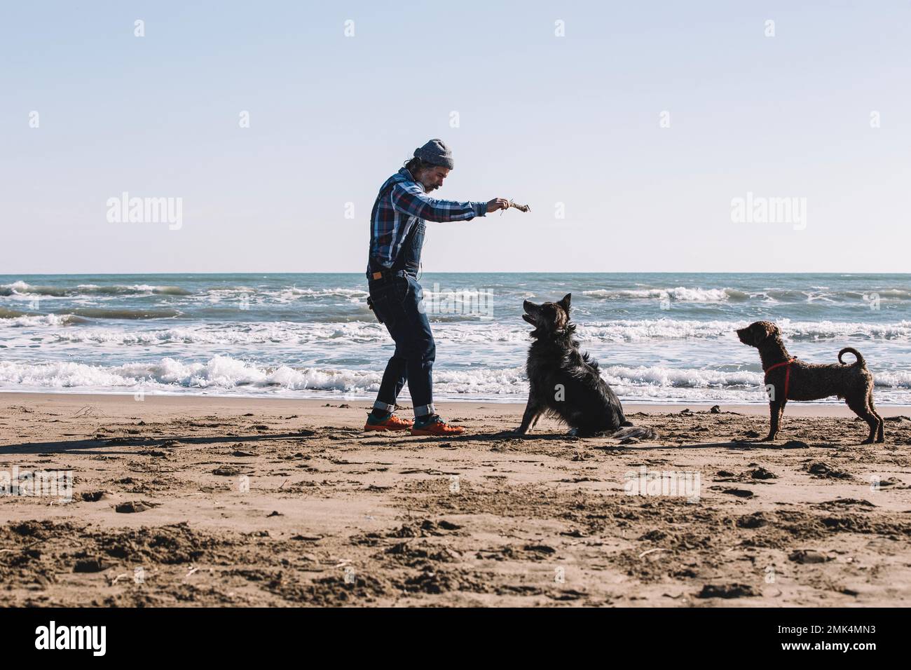 Weißer Mann, der an einem sonnigen Tag am Strand mit Hunden spielt. Mann und Hund haben Spaß am Meer Stockfoto