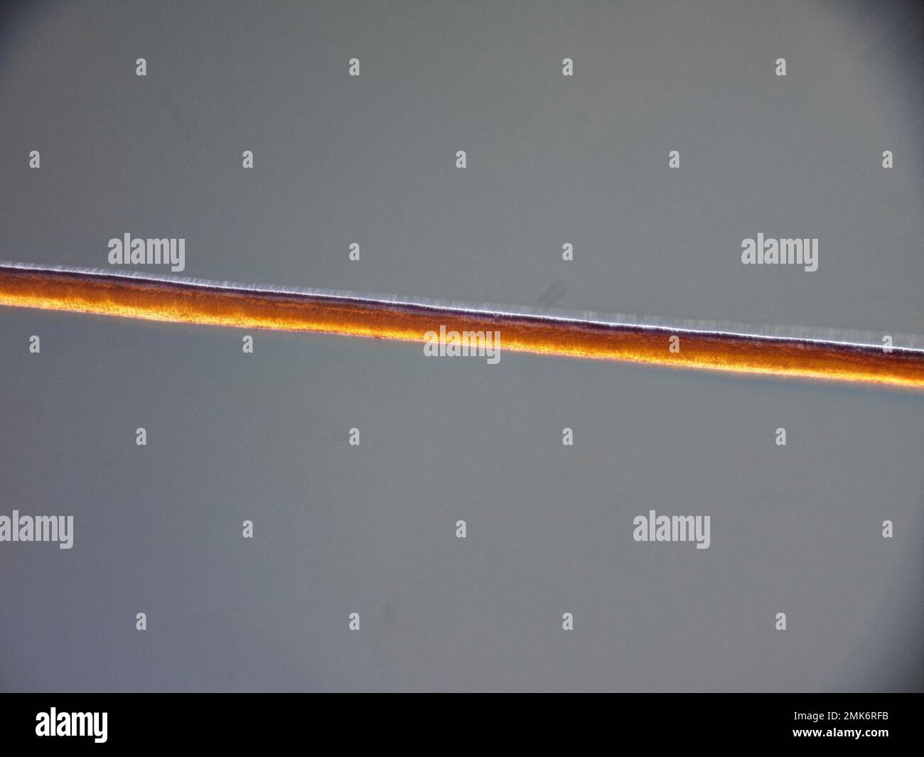 Menschliches Haar gefärbt mit Henna, weibliches Haar, extreme Makro, Deutschland Stockfoto