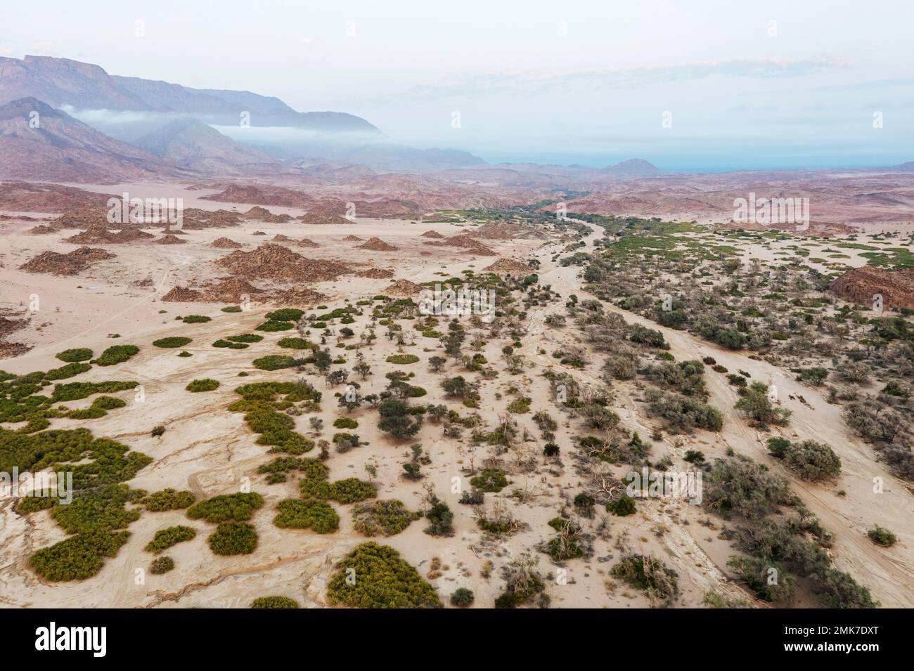 Das trockene Bett des Ugab-Flusses bei Sonnenaufgang, links der Brandberg, Namibias höchster Berg, Luftaufnahme, Drohnenschuss, Damaraland, Namibia Stockfoto