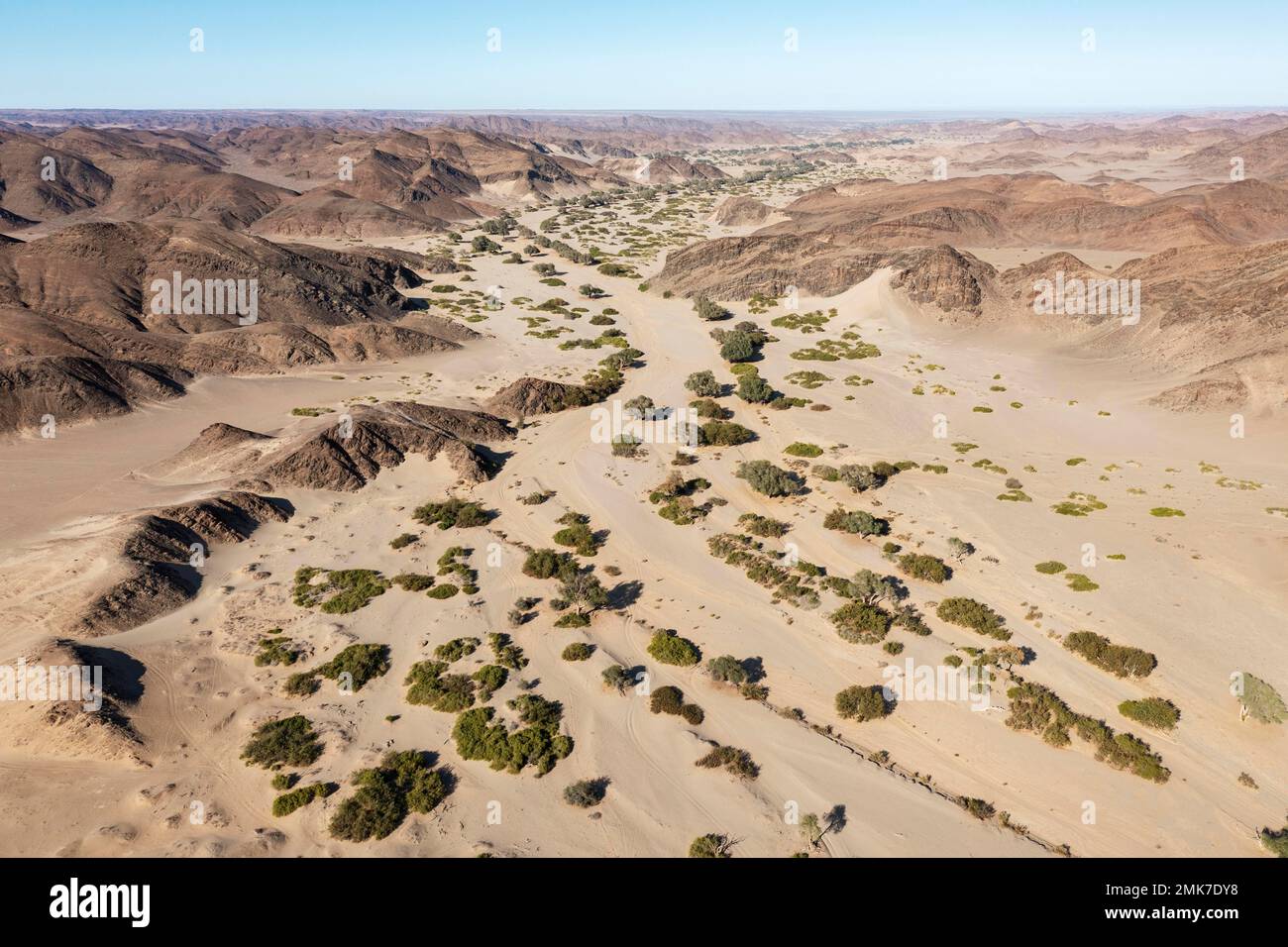 Das trockene Bett des Hoanib Flusses, Luftaufnahme, Drohnenschuss, Damaraland, Namibia Stockfoto