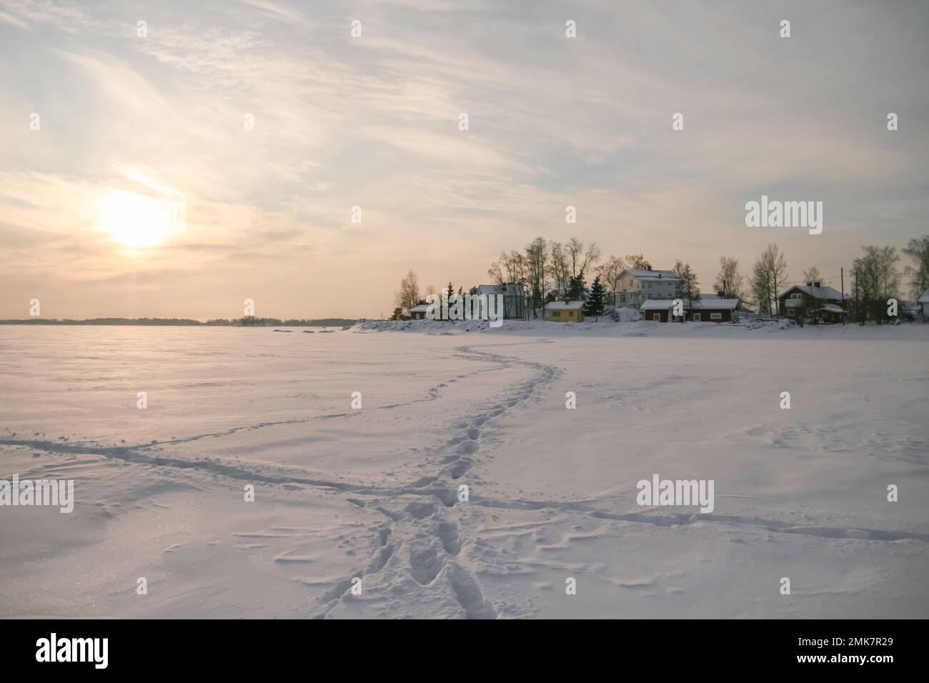 Kalter Wintertag mit meinem Akita Inn Hund auf gefrorenem Meer in Kotka, Finnland. Viel Schnee und kalter Wind Stockfoto