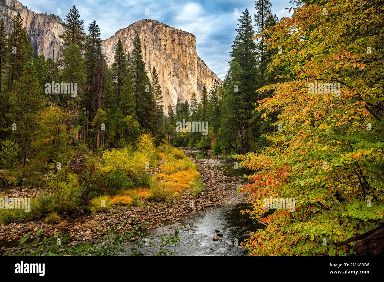 Das berühmte El Capitan am Merced River im Herbst Stockfoto