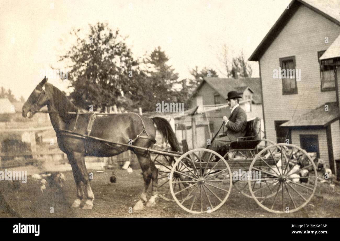 Horse and Carriage Anfang der 1900er Jahre, Horse and Buggy Stockfoto