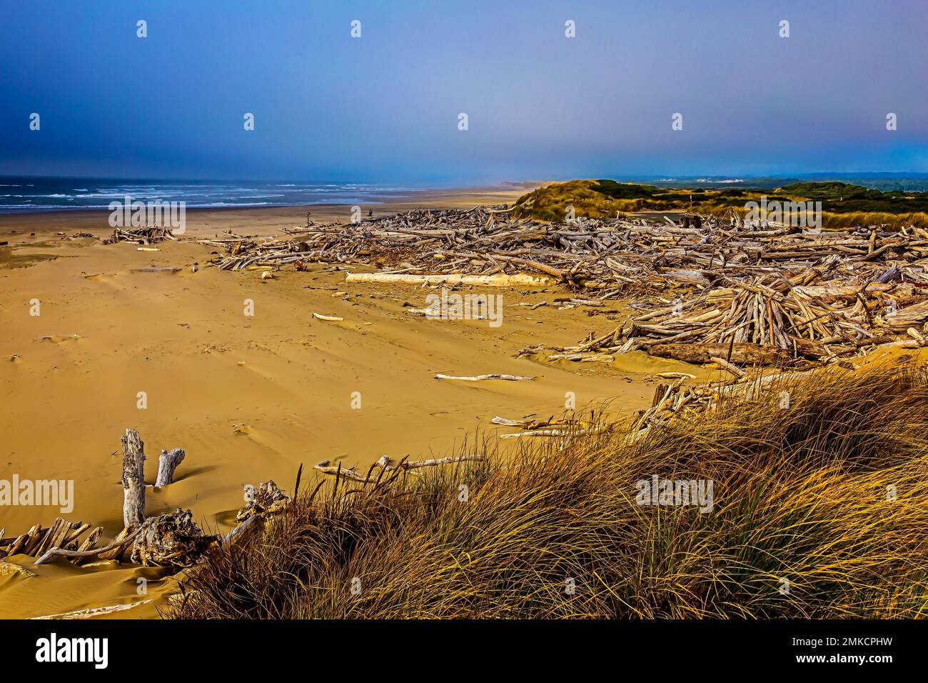 Windgepeitschter Strand Stockfoto