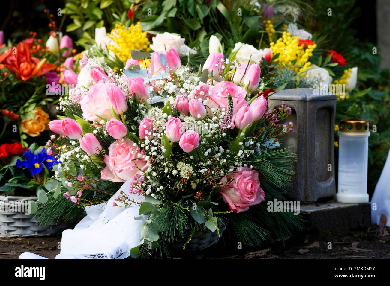Rosa Tulpen und Rosen auf einem Grab nach einer Beerdigung Stockfoto