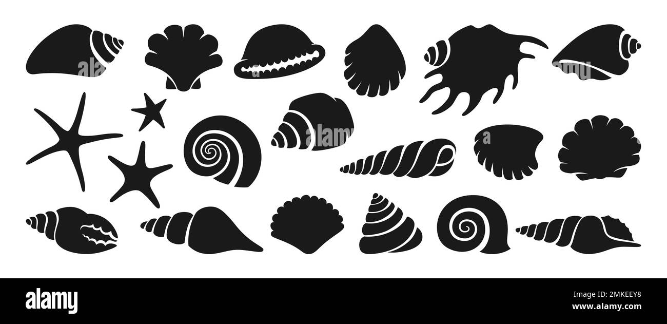 Schablonenstempel-Set für Muschelspüle. Exotische Meeresmuschelschnecke Meeresspirale Meeresschnecke Meeresspirale Seehundkollektion. Tropische Strandmuscheln Wasserdesign Illustration Stock Vektor