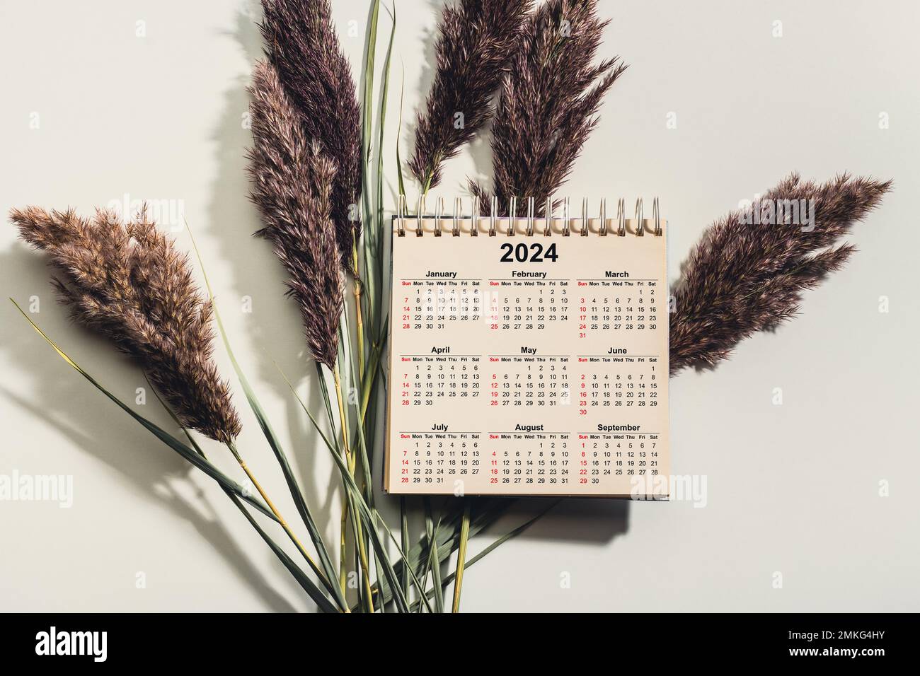 Zeitplan für Kalenderjahr 2024. 2024 Schreibtischkalender auf weißem Schreibtisch. Neujahrspläne für 2024. Zeitplan für Kalenderjahr 2024. Stockfoto