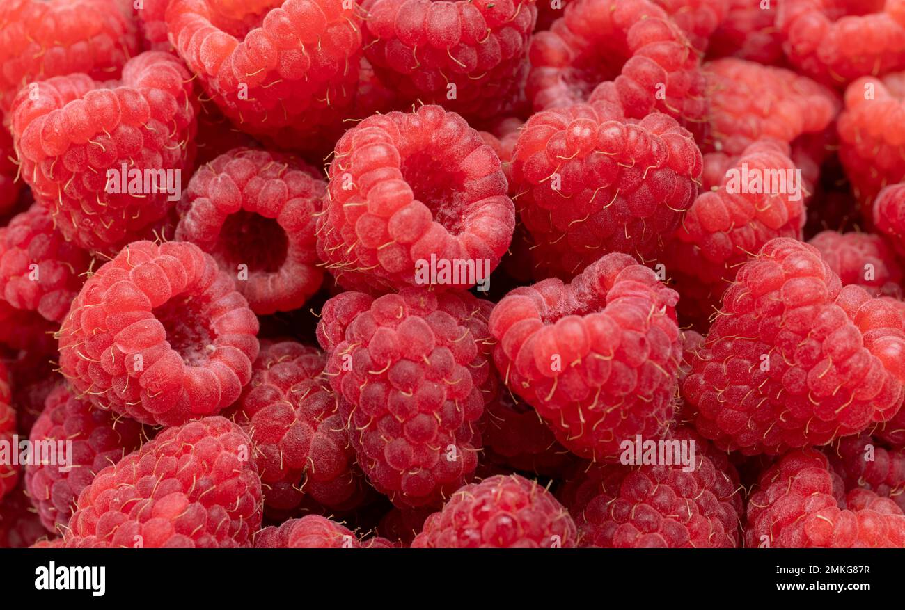 Frischer und süßer Himbeeren Hintergrund. Frische, reife Himbeere aus biologischem Anbau. Strauß rote rosa Himbeeren. Draufsicht Stockfoto