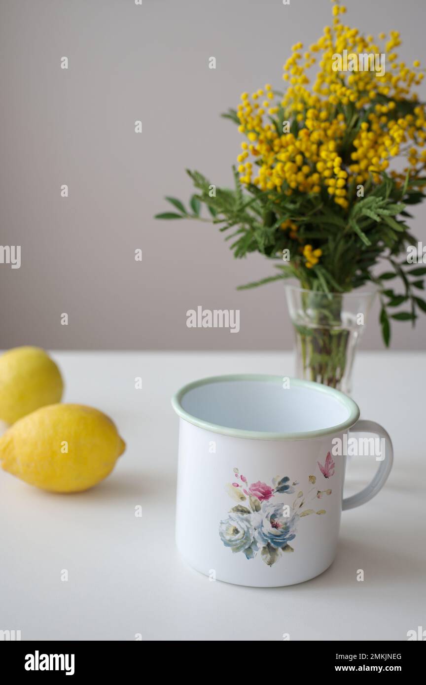 Emaillierte, bemalte Töpfe, Zitronen- und gelbe Mimosablüten in einer Glasvase auf einem weißen Tisch Stockfoto