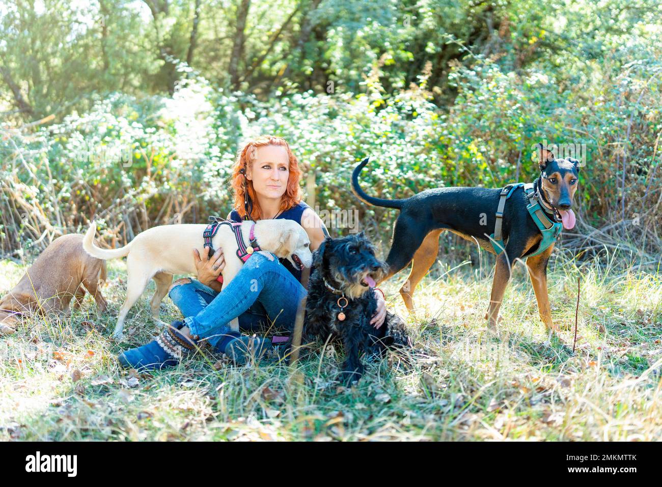 Eine Frau, die auf einem Feld sitzt, umgeben von Hunden Stockfoto