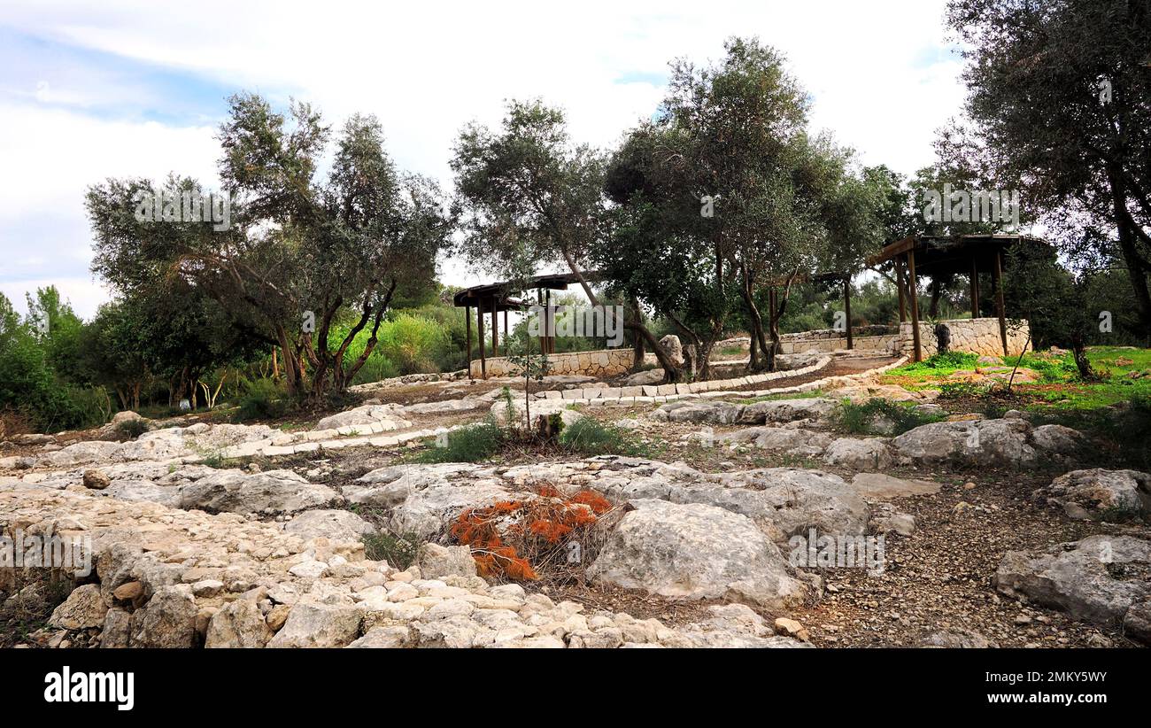 Ruhestätte im israelischen Wald Haruvit. Auf der historischen Stätte wurde ein Ort der Ruhe für Menschen geschaffen, die im Wald wandern. Stockfoto