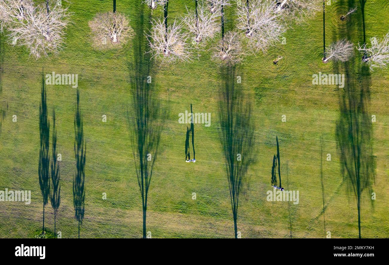 Edinburgh, Schottland, Großbritannien. Bild einer Drohne mit Schatten der Wintersonne von Golfern und Bäumen auf einem Fairway des Kingsknowe Golfplatzes in Edinburgh Stockfoto