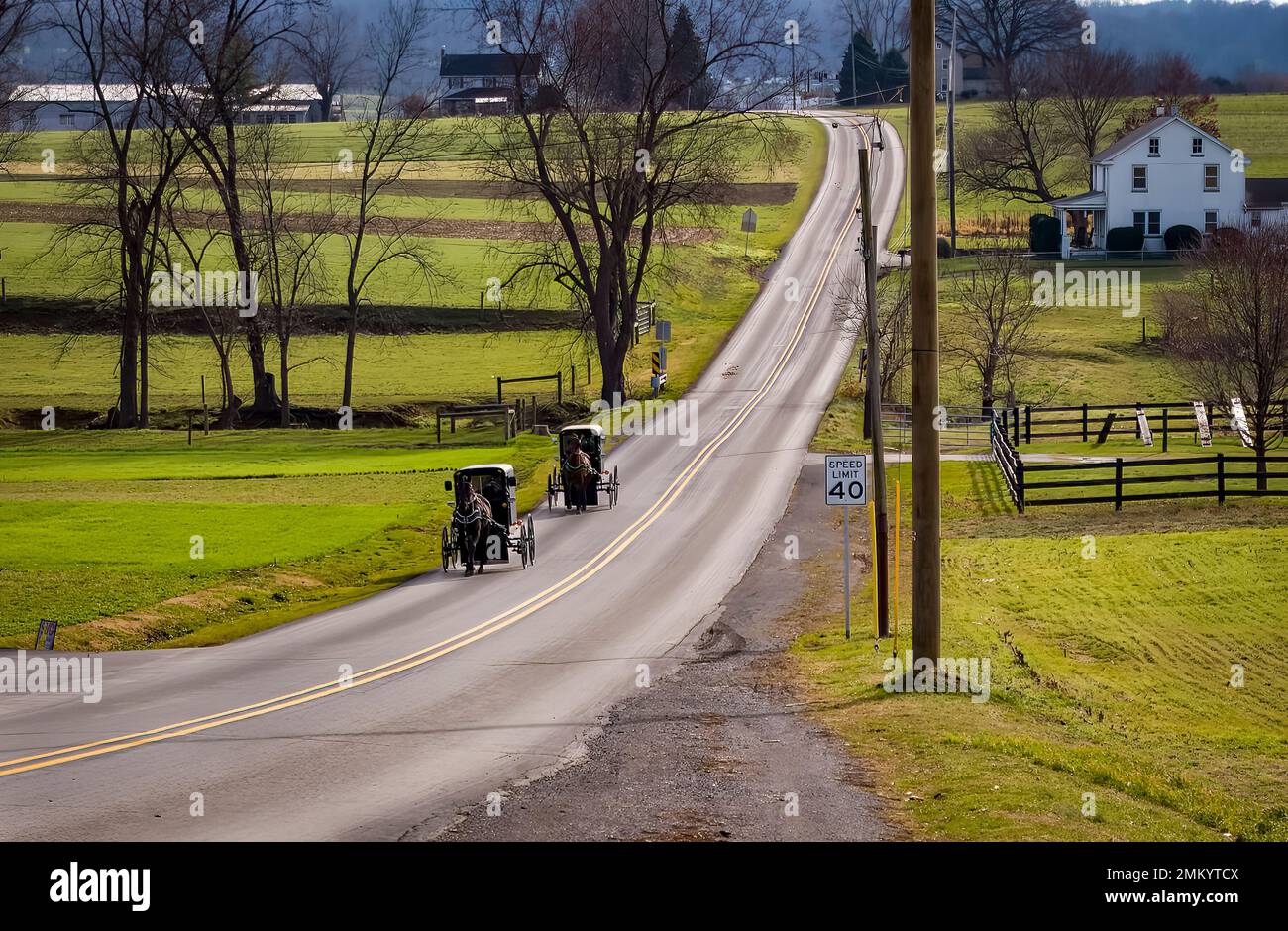 Ein Blick auf zwei Amish-Pferde und Buggys, die an einem sonnigen Dezembertag auf einer Landstraße durch Farmen unterwegs sind Stockfoto