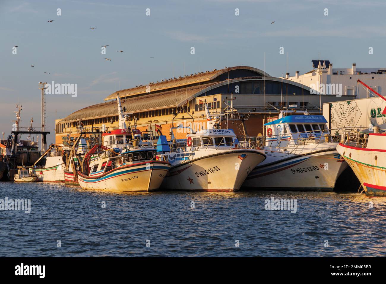 Isla Cristina, Provinz Huelva, Andalusien, Südspanien. Fischerboote im Hafen. Isla Cristina ist ein großer spanischer Fischereihafen. Stockfoto