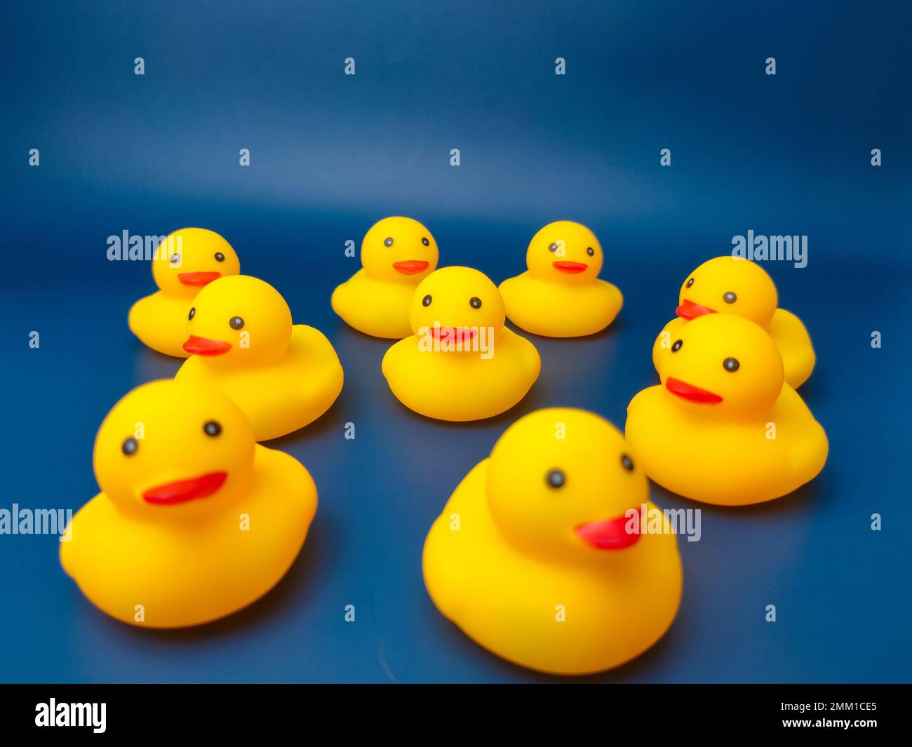Eine Gruppe gelber Entenspielzeuge auf blauem Hintergrund. Stockfoto