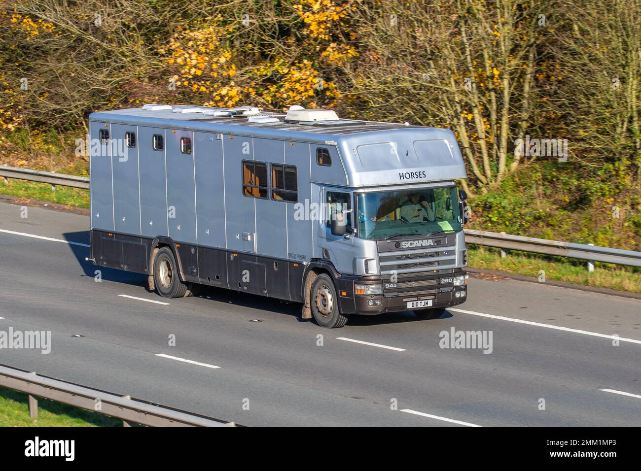 PFERDE IM TRANSPORT; 1998 90s 90er SCANIA P94 94d 260 8970cc Taxi über Pferdehäuschen; Fahrt auf der Autobahn M61, Großbritannien Stockfoto