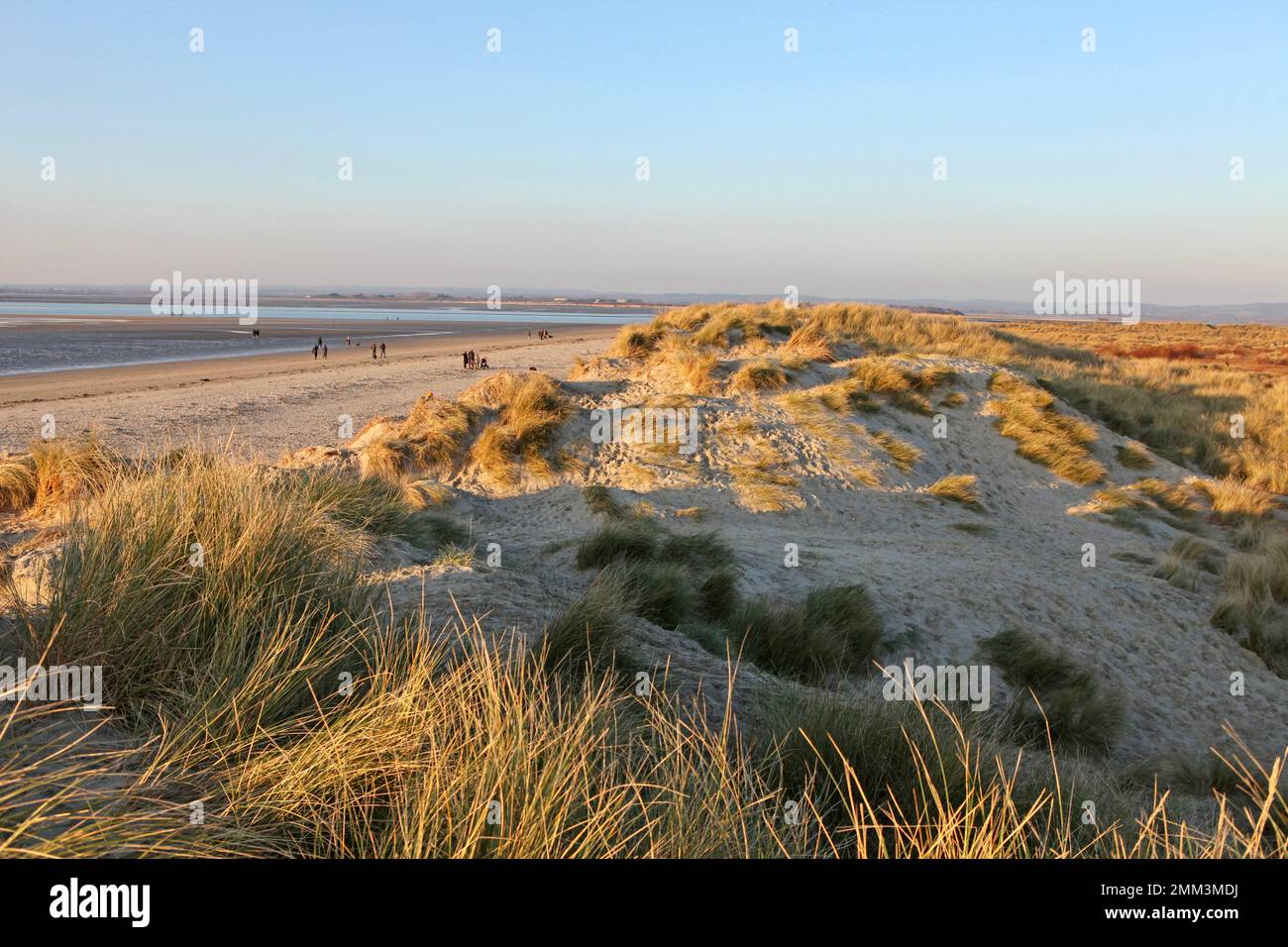 Sanddünen in West Wittering, West Sussex, Großbritannien. Stockfoto