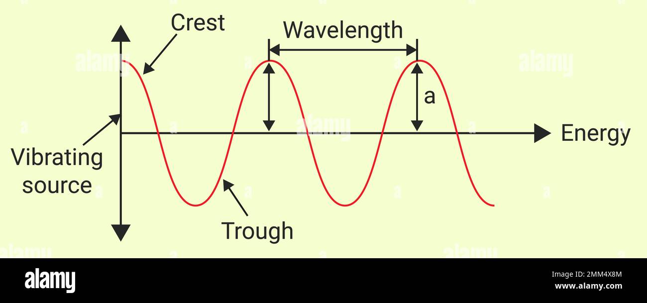 Die Eigenschaften der Welle: Amplitude, Wellenlänge, Frequenz und Geschwindigkeit Stock Vektor