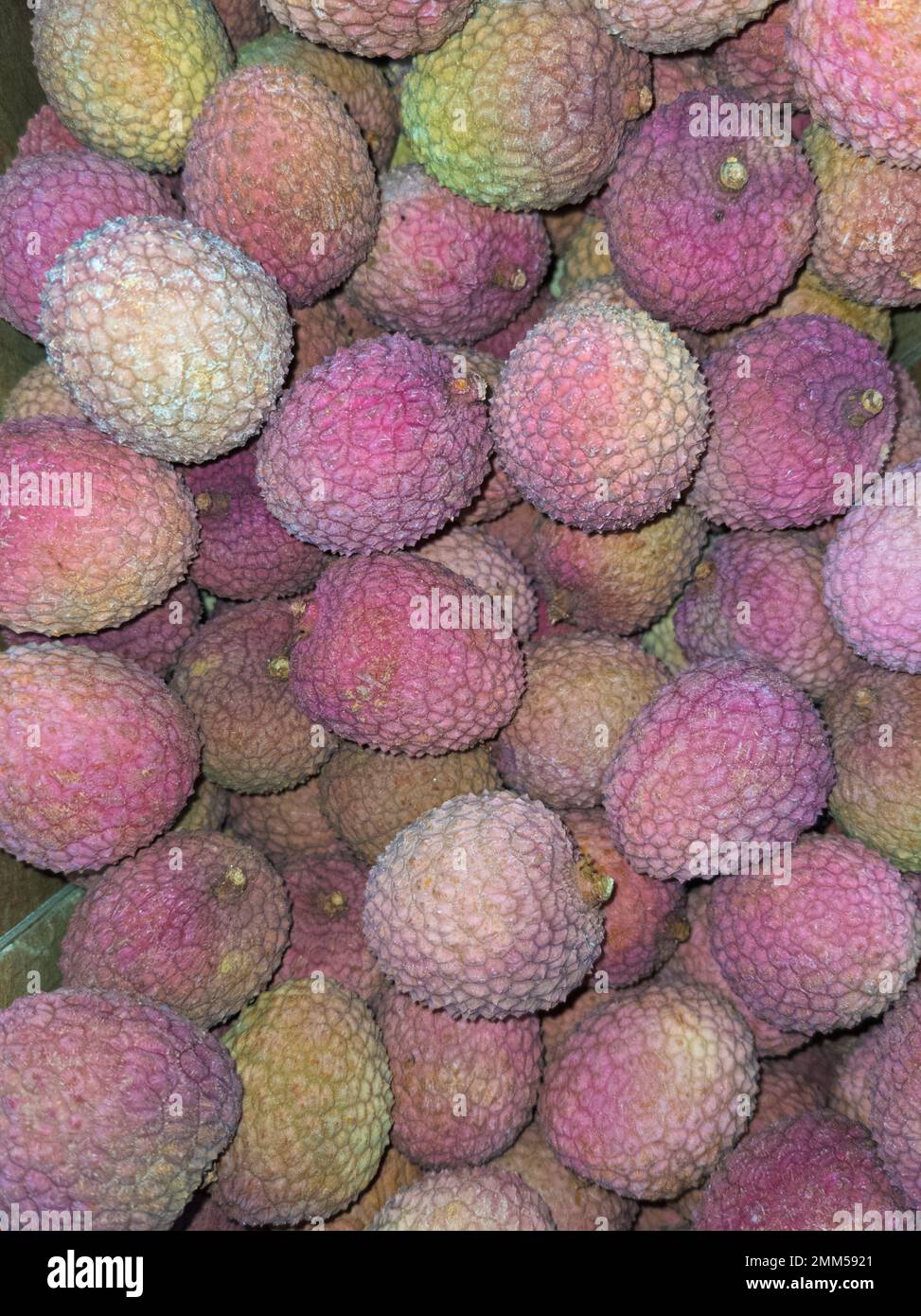 Frische Litchi Chinensis, Lychee - köstliches Obst, chinesische Pflaume, Draufsicht Stockfoto
