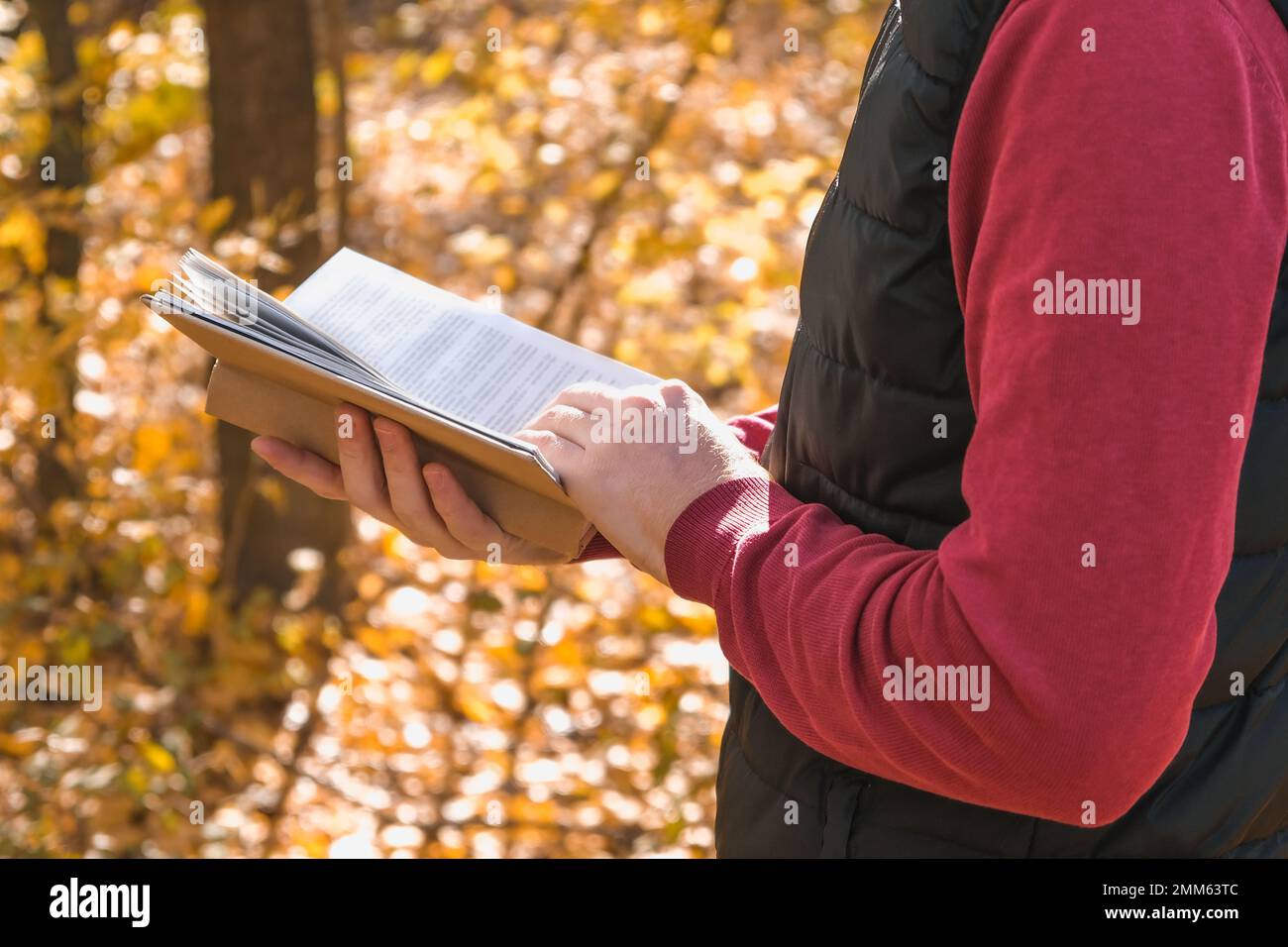 Junger Mann in einem Herbstpark oder Wald und Buch lesen. Geistige Erholung in der Natur. Ruhiges Landleben. Eskapismus. Digitale Entgiftung. Konzept des Buchlesens in einem Herbstpark Stockfoto