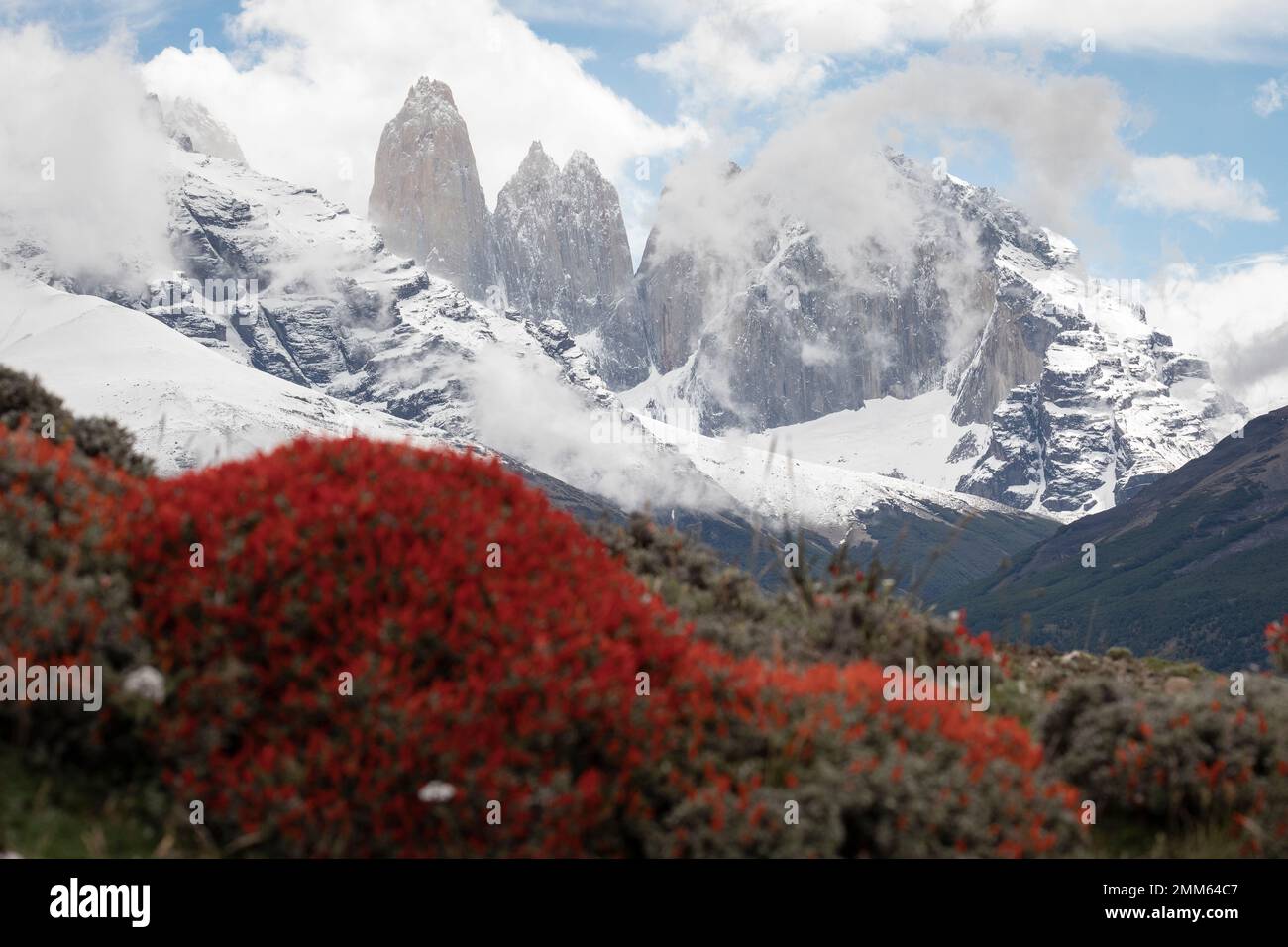 Ich habe diese Fotos im November 2019 auf der Suche nach Pumas im Torres Del Paine Nationalpark gemacht Stockfoto