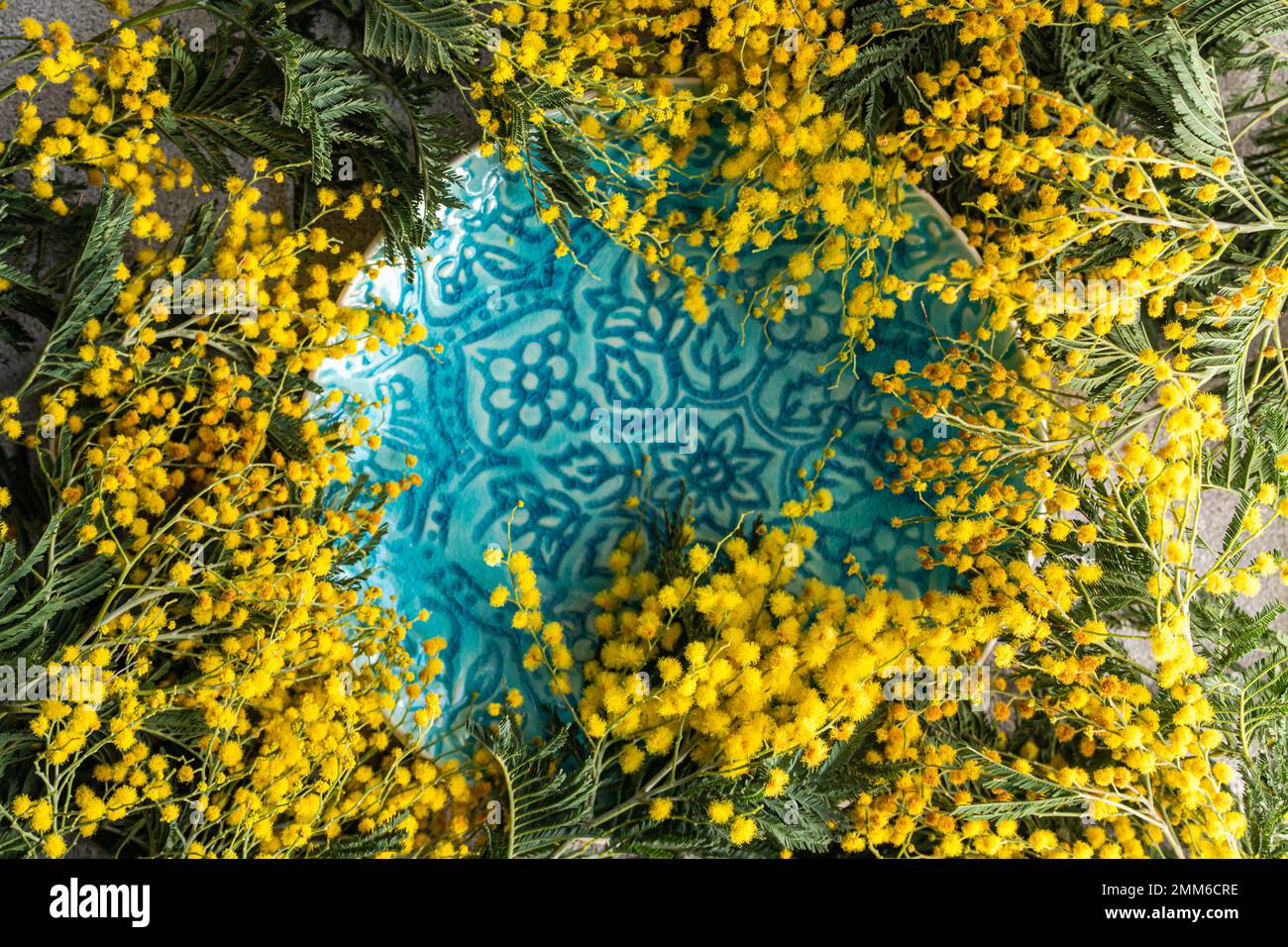 Mimosablüten im Rahmen Stockfoto