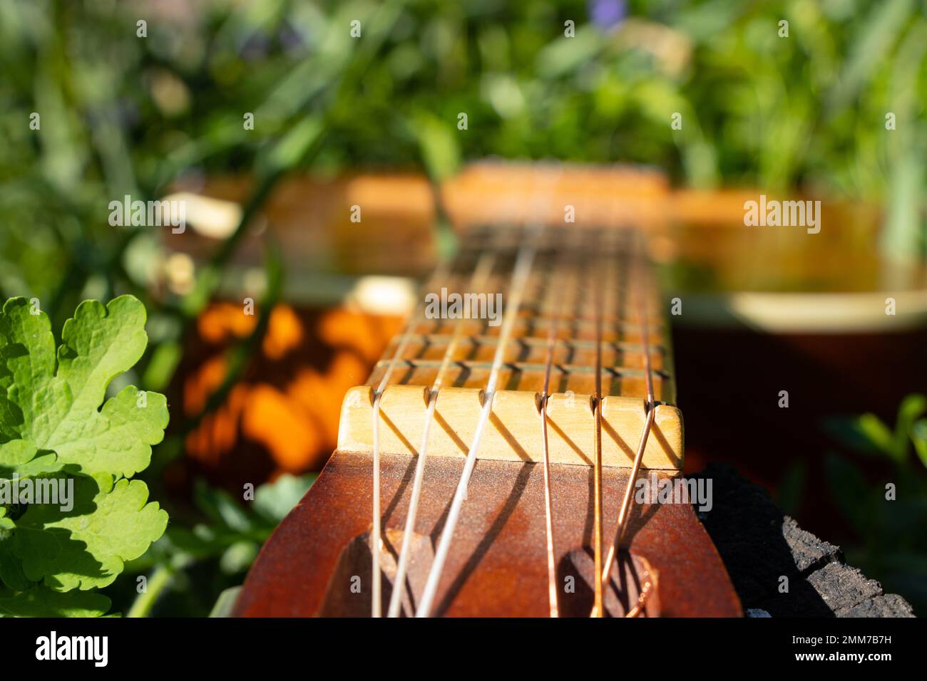 Braune Holzgitarre liegt im Frühling in der Ukraine in Wildblumen Stockfoto