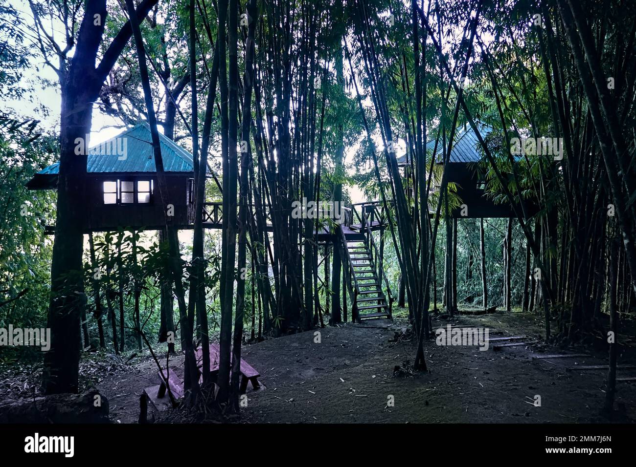 Zimmer mit Aussicht. Baumhaus-Bungalows im Thong Pha Phum Nationalpark, Kanchanaburi, Thailand Stockfoto