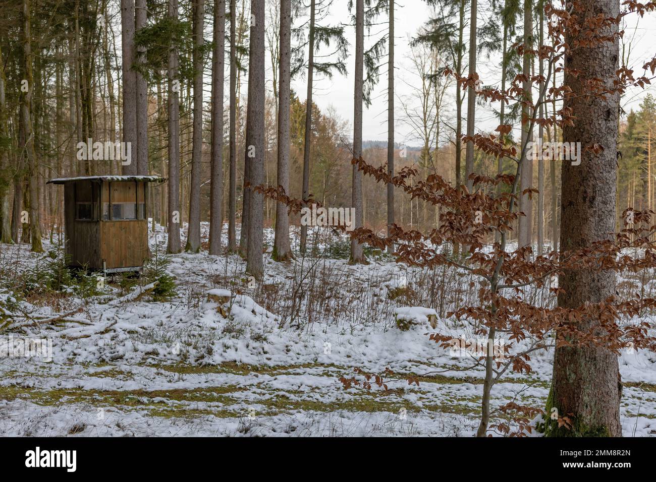 Jagdstand im Wald Stockfoto