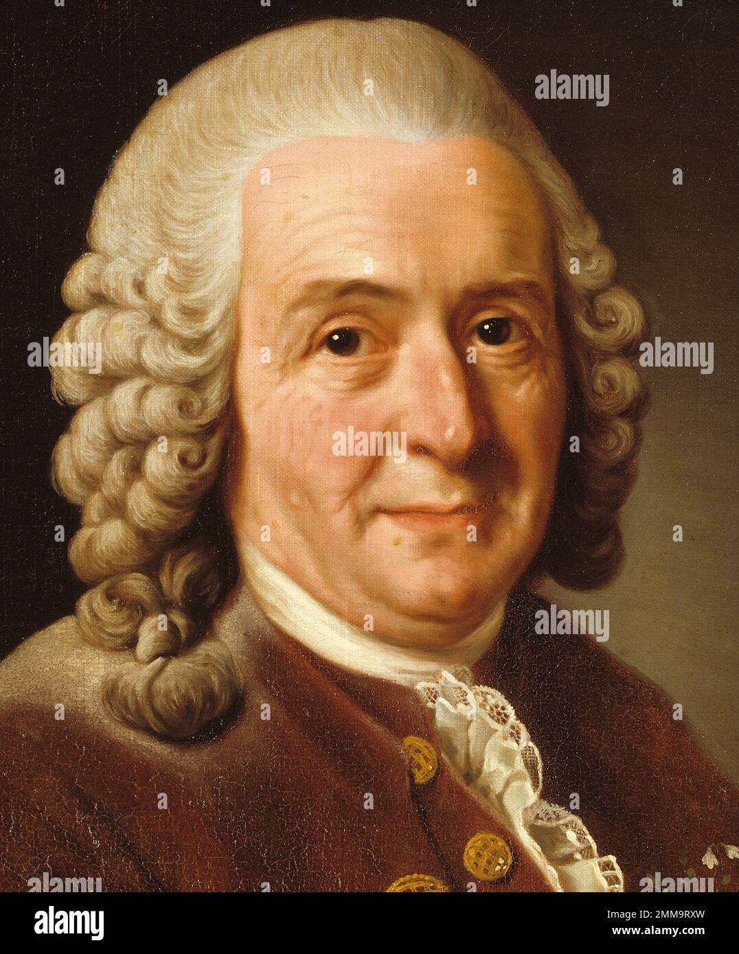 Carl Linnaeus (1707-1778), auch bekannt als Carl von Linné, schwedischer Botaniker, Zoologe, Taxonomist und Arzt, der die binomiale Nomenklatur formalisierte, das moderne System der Benennung von Organismen. Er ist als „Vater der modernen Taxonomie“ bekannt. Stockfoto