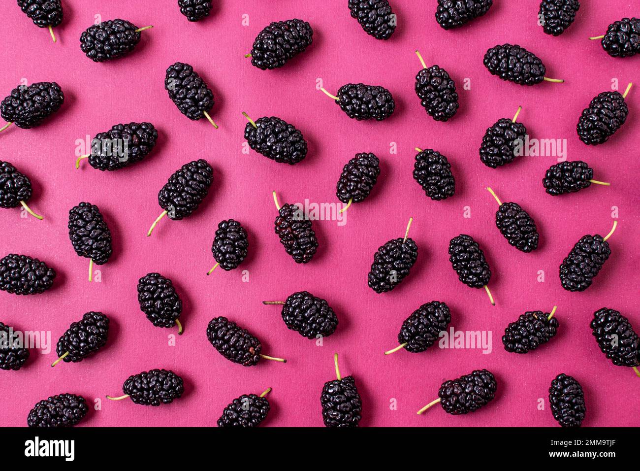 Flach liegendes Sortiment Maulbeeren. Schönes Foto Stockfoto