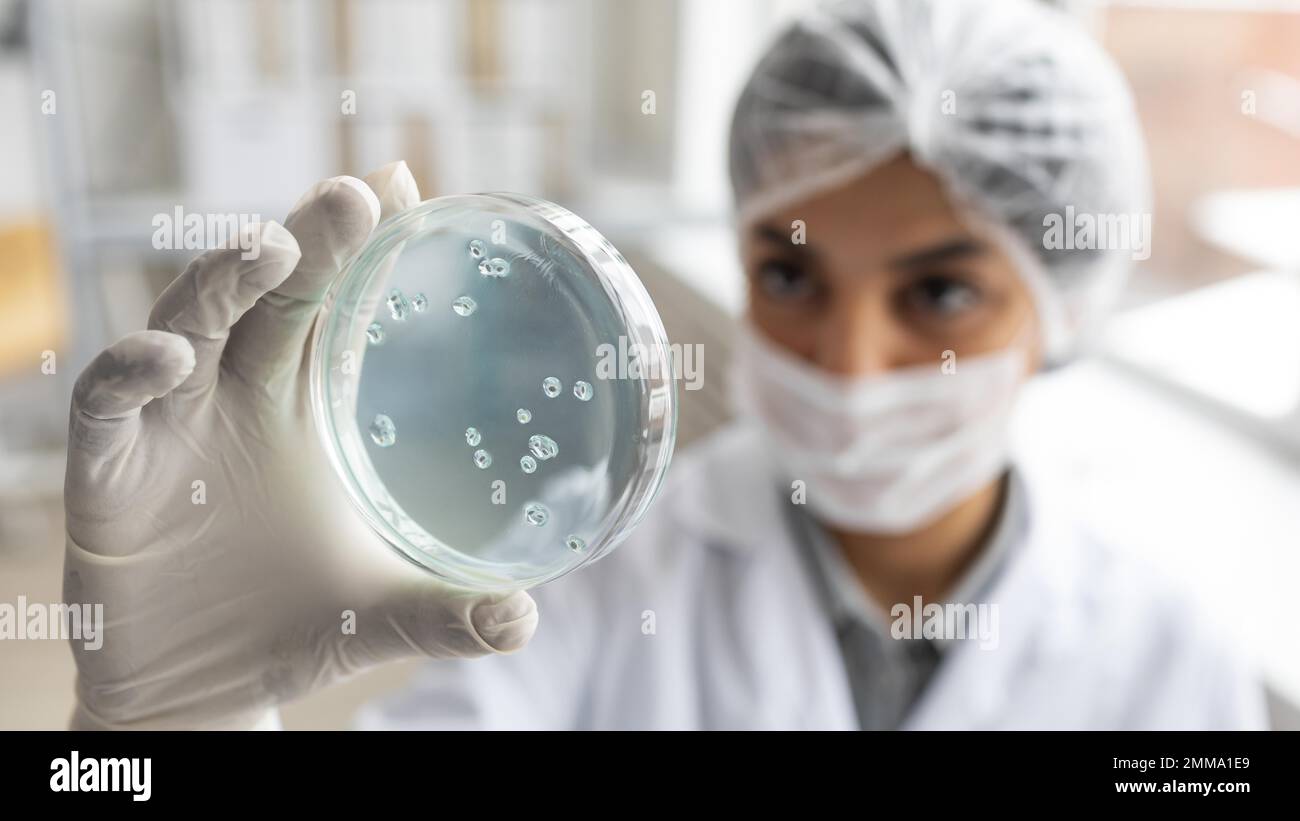 Nahaufnahme eines verschwommenen Wissenschaftlers mit Petrischale. Auflösung und hochwertige Fotos Stockfoto