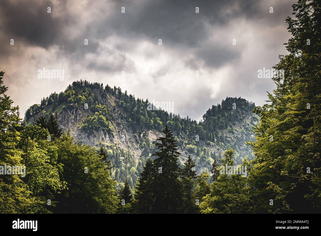 Blick auf ein Gebige , Tegernsee,Mangfall-Gebirge,Tannen,Kreuth,Wandern,Wolken,Berge,bewölkterHimmel Stockfoto