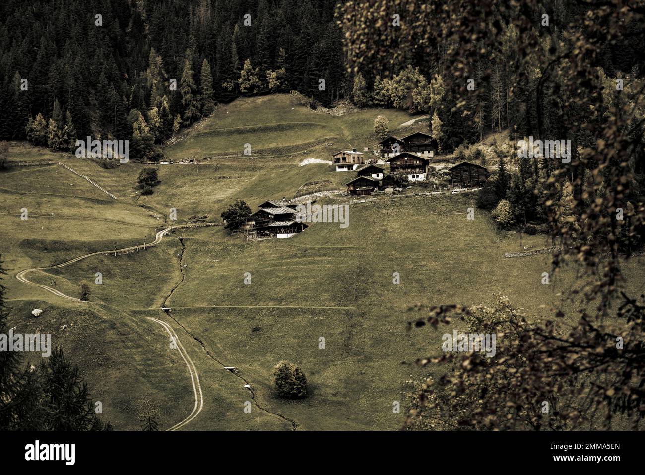 Alte Bauernhöfe auf der Bergwiese, Ulten Valley, Merano, Südtirol, Italien Stockfoto