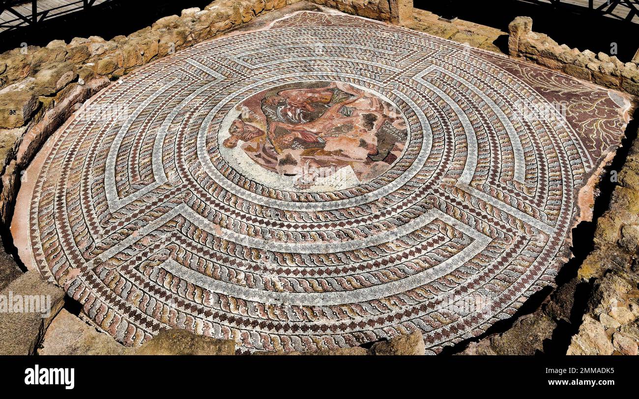 Das wunderschöne, perfekt erhaltene römische Mosaik, das im Haus von Dionysos im archäologischen Park Paphos auf der Insel Zypern gefunden wurde Stockfoto