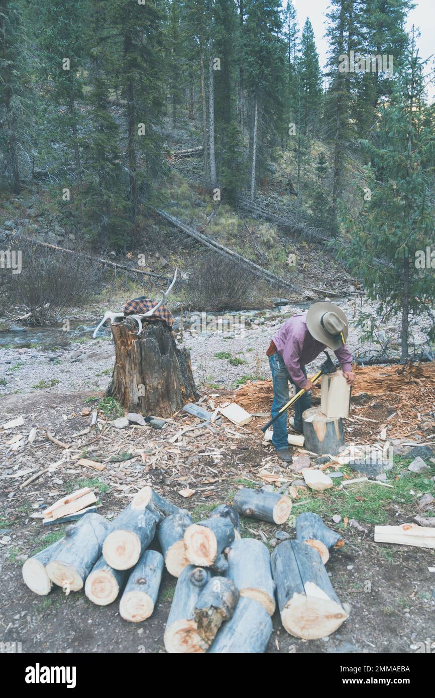 Ranchhand Boy schneidet und spaltet Stämme, während er auf einem Campingplatz im Wald mit einer Axt ist Stockfoto