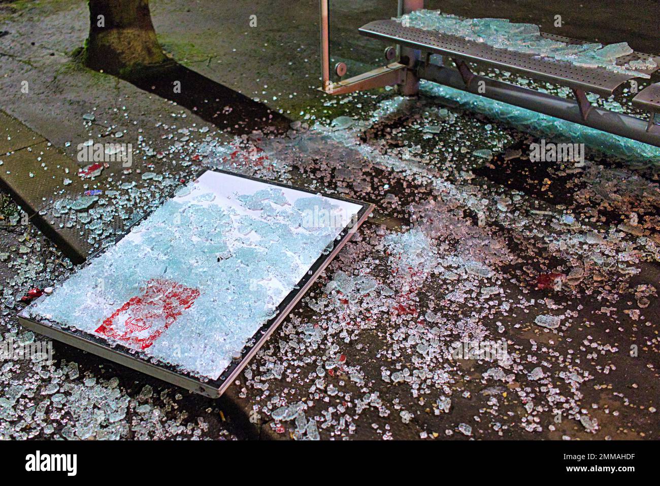 Glasgow, Schottland, Vereinigtes Königreich 29. Januar 2023. Die Flut des Vandalismus geht in der Stadt weiter, da Bushaltestellen für ihre Glasfassade vorgesehen sind, mit einer 1000 Pfund-Rechnung für jede zerstörte die Dystopie geht von Graffiti bis Verbrechen weiter. Ich habe mir eine der verwüsteten Haltestellen auf der Great Western Road A82 vorgestellt. Credit Gerard Ferry/Alamy Live News Stockfoto