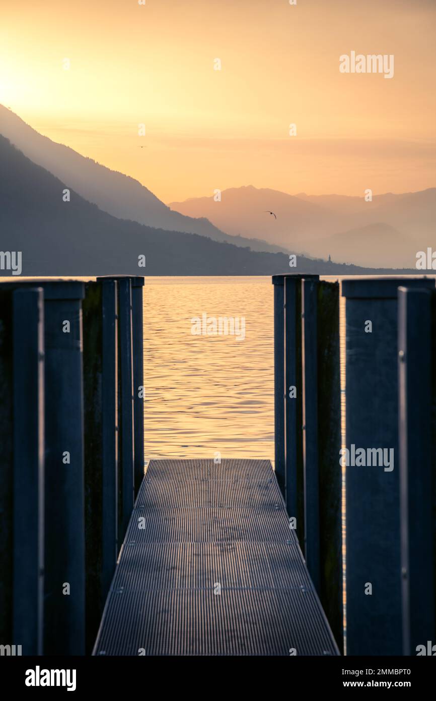 Ein Steg auf dem See während des Sonnenuntergangs in der Ferne fliegt eine Möwe Stockfoto