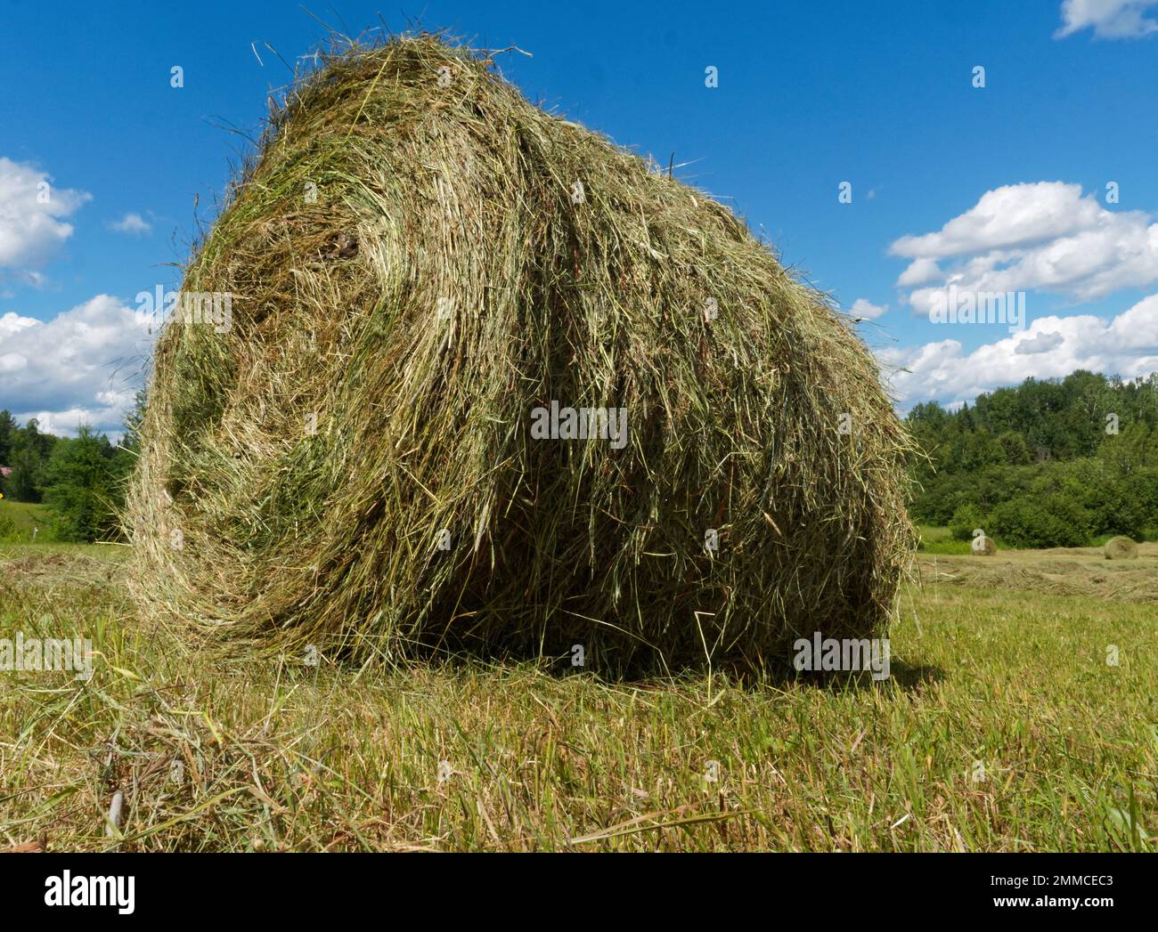 Runder Heuballen auf einem Feld. Quebec, Kanada Stockfoto