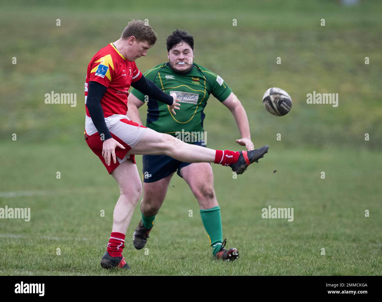 Rugby-Spieler wirft Kick-Ball. Stockfoto