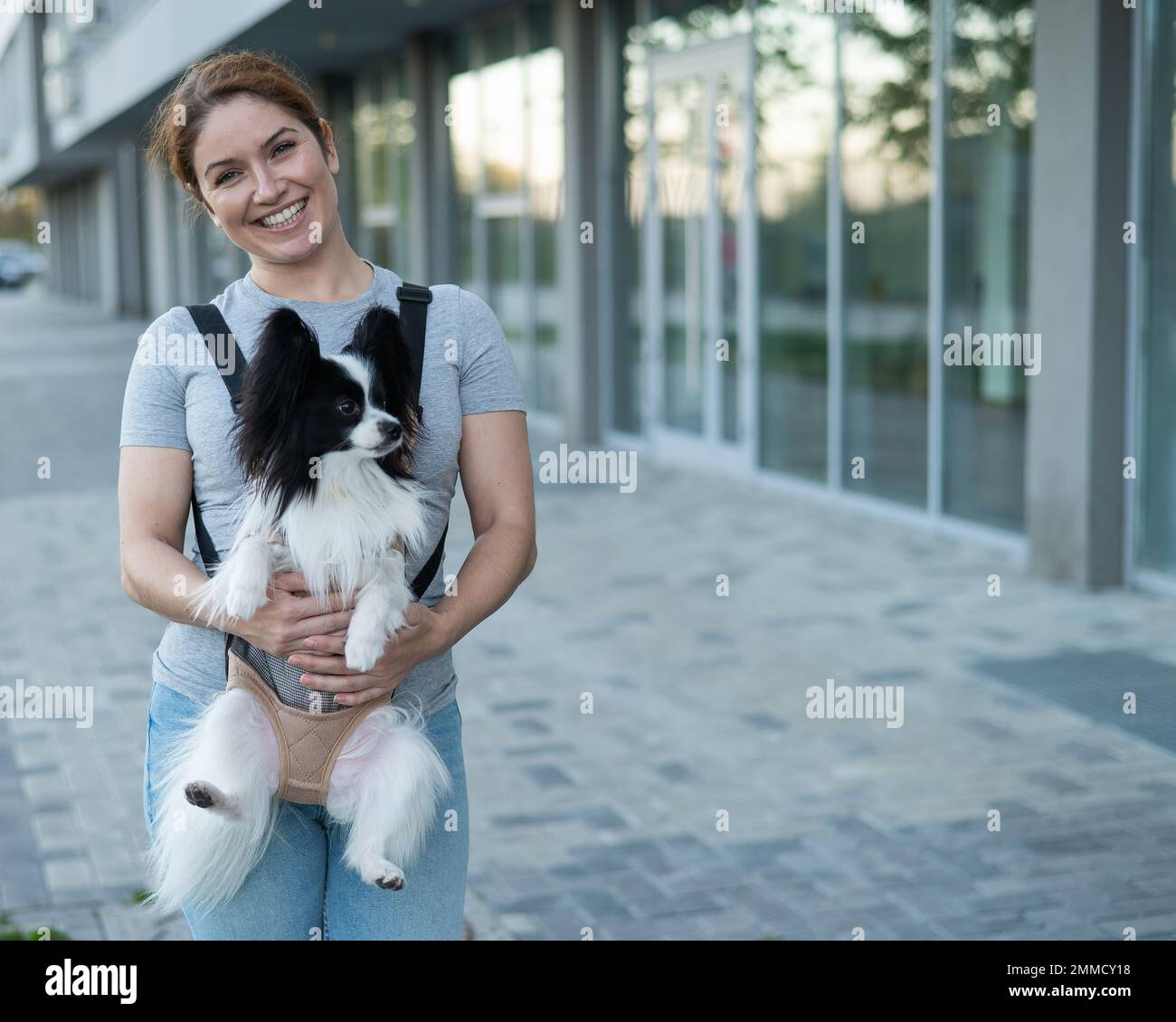 Glückliche kaukasische Frau, die mit einem Hund in einem Rucksack läuft. Papillon Spaniel Continental in einer Schlinge. Stockfoto