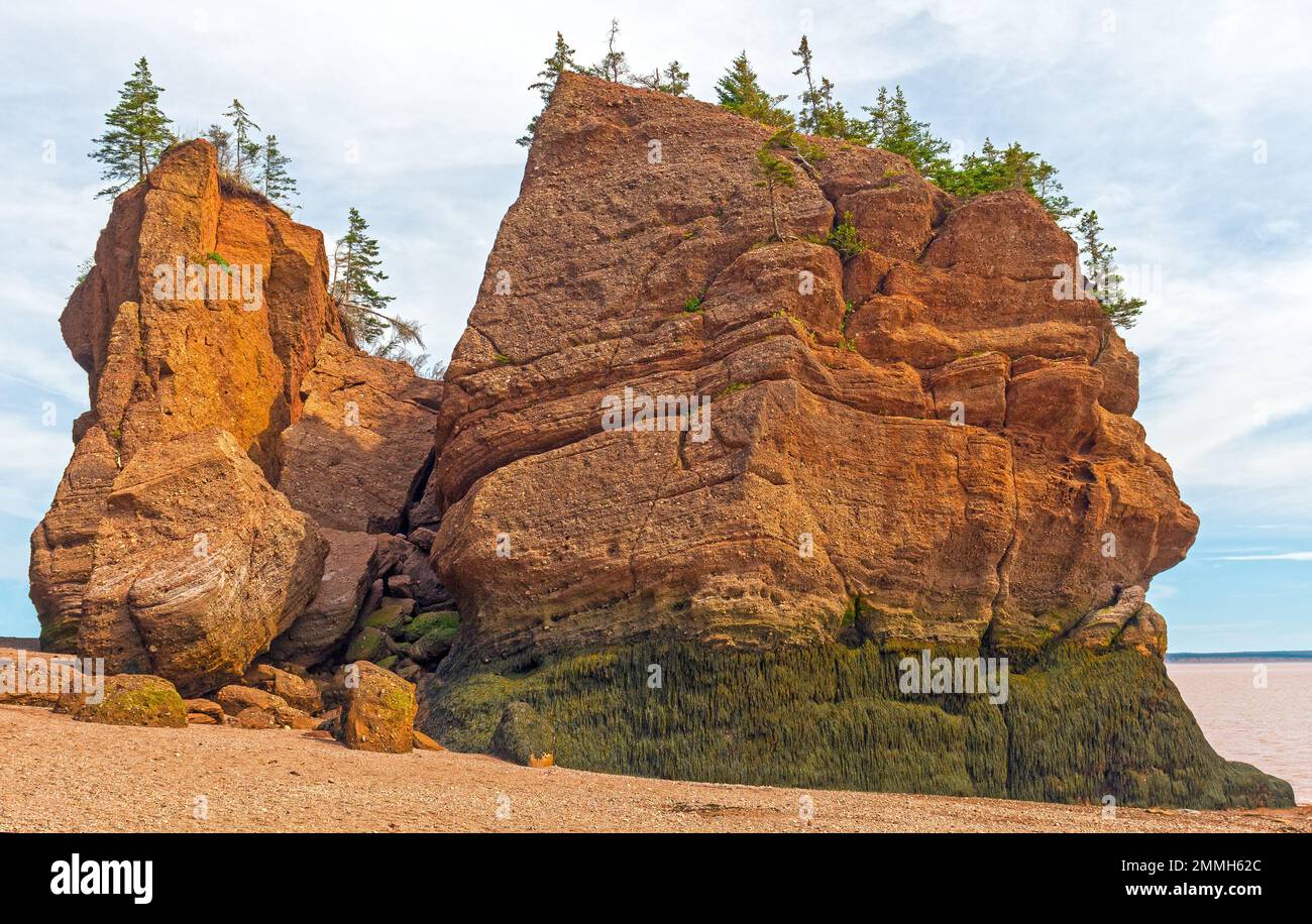 Exponierter Felsen bei Low Tide in der Bay of Fundy in New Brunswick. Stockfoto