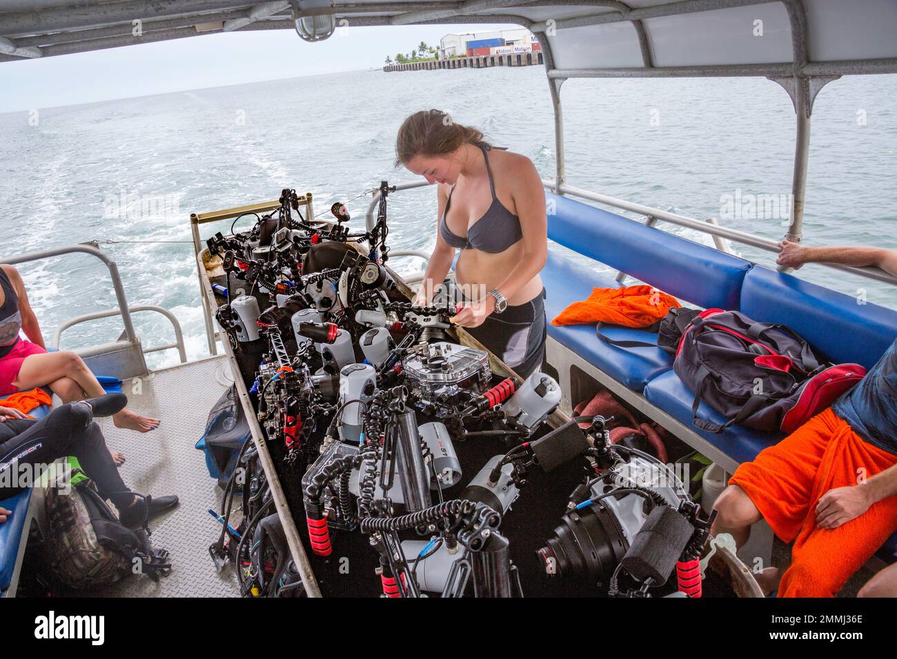 Eine Fotografin (MR) überprüft ihre Kamera auf einem Tisch mit Unterwasserfotoausrüstung vor der Insel Yap, Mikronesien. Stockfoto