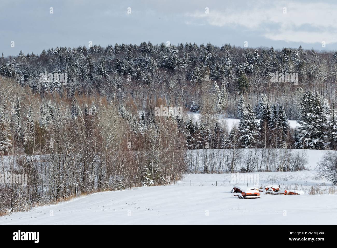 Winterlandschaft auf dem Hof. Quebec, Kanada Stockfoto