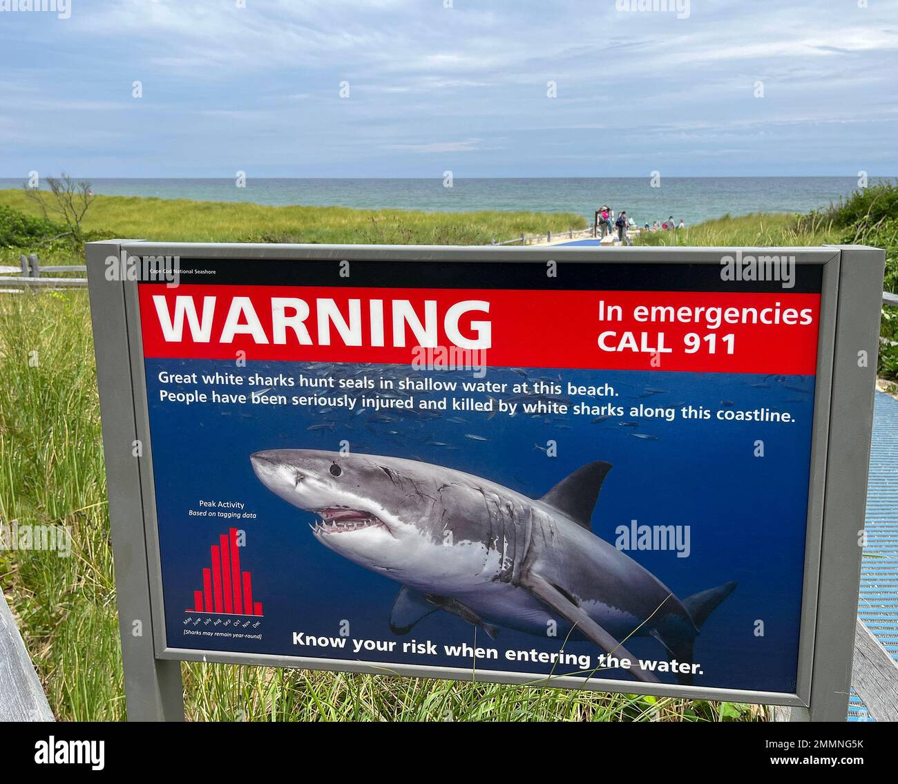 Warntafel für Haiangriffe bei Nacht in der Gegend von Cape Cod mit Strand und Touristen im Hintergrund Stockfoto