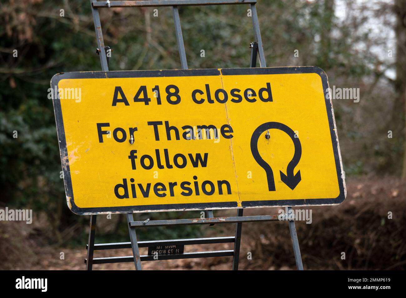 Hartwell, Aylesbury, Großbritannien. Januar 29. 2023. A413 Straßensperrung und massenhaftes Fällen von Bäumen durch HS2 Ltd. Bauunternehmer auf HS2 Land neben einem beliebten, gut genutzten öffentlichen Pfad und Radweg. HS2 gerichtliche Anordnung wegen Zäunung. HS2 Bauunternehmer mit Kettensägen schneiden die Basis von Bäumen, während Hydraulikbagger mit Greifern beim Fällen geholfen haben. Autofahrer waren verwirrt und als sie Barrieren sahen, die die Hauptstraße blockieren, mussten sie gefährliche 3-Punkte-Kurven in der Nähe einer engen Kurve beim Bugle Horn Pub machen. Kredit: Stephen Bell/Alamy Live News Stockfoto