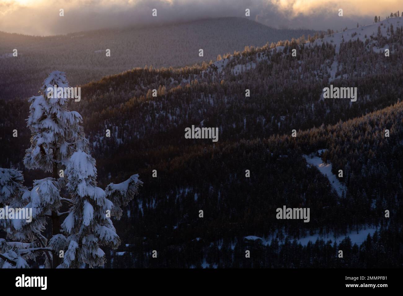 Winterlandschaft - Lake Tahoe - Tahoe National Forest Nach Schnee - Kalifornien/Nevada Stockfoto