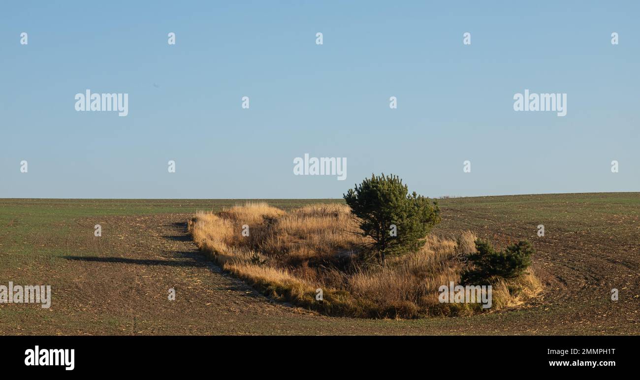 Herbstlandschaft bei Sonnenuntergang mit Kopierraum. Stockfoto