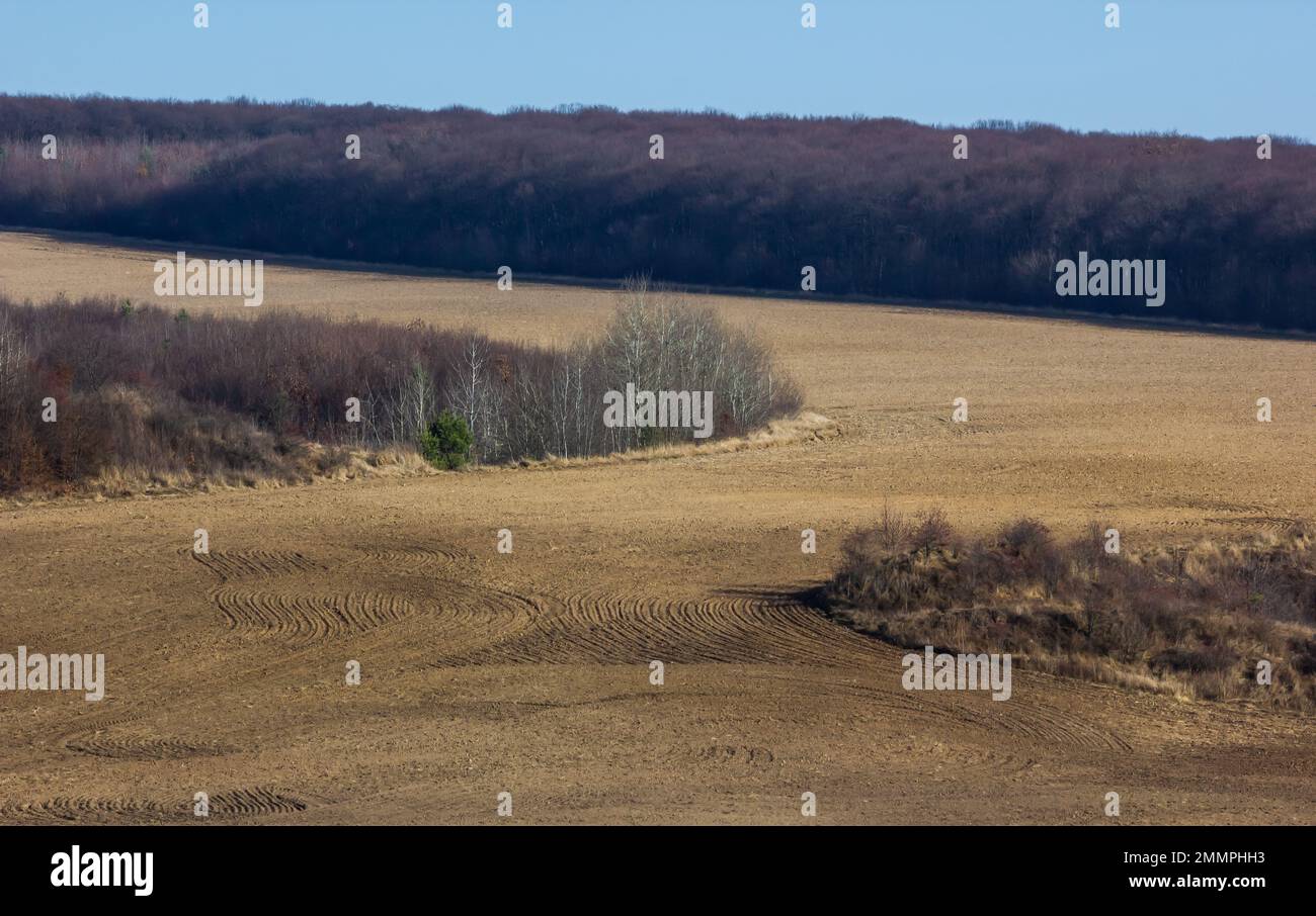 Herbstlandschaft bei Sonnenuntergang mit Kopierraum. Stockfoto